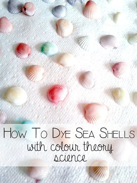 How to Dye Seashells -   18 seashell crafts butterfly
 ideas