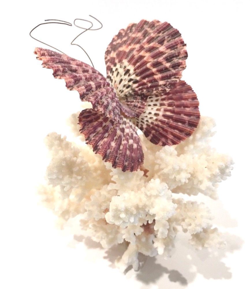 Hand Made Coral & Seashell Art Figurine Retro Vintage Butterfly -   18 seashell crafts butterfly
 ideas