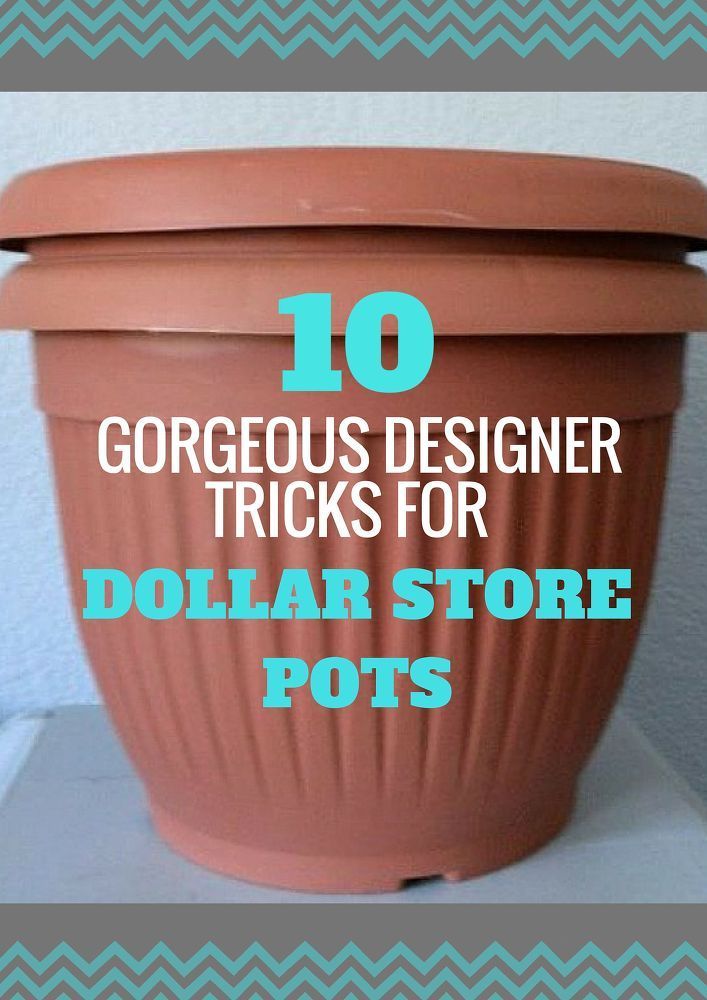 19 dollar store pots ideas