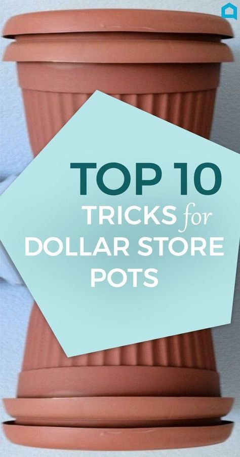 10 Gorgeous Designer Tricks for Your Dollar Store Pots -   19 dollar store pots ideas