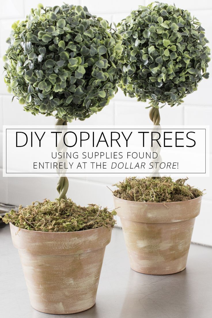 DIY Topiary Trees from Dollar Store Supplies -   19 dollar store pots ideas