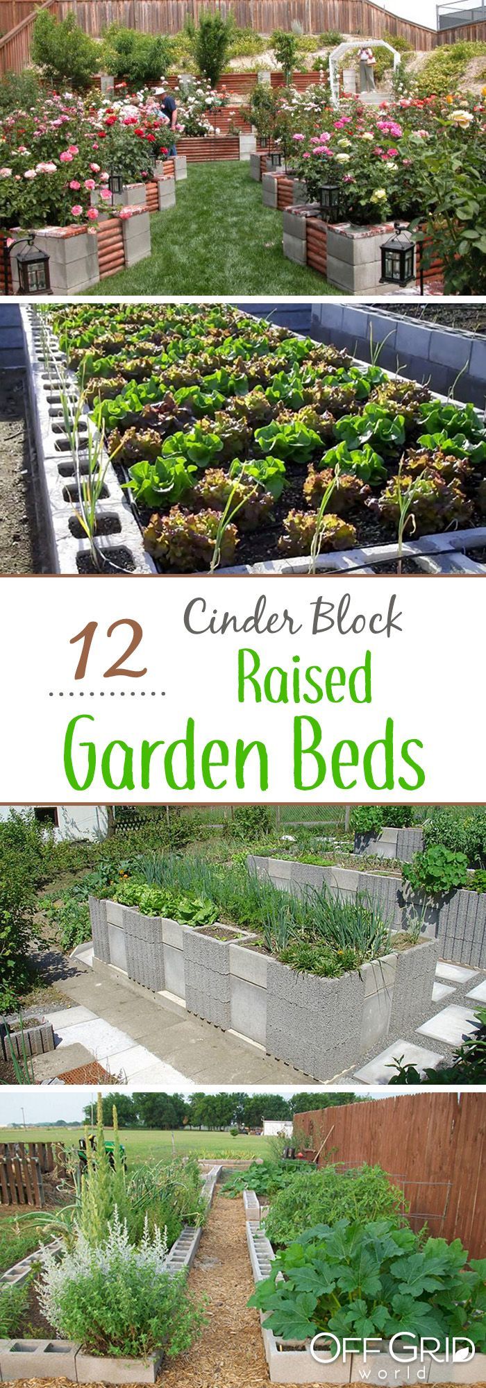 12 Amazing Cinder Block Raised Garden Beds -   21 garden beds
 ideas