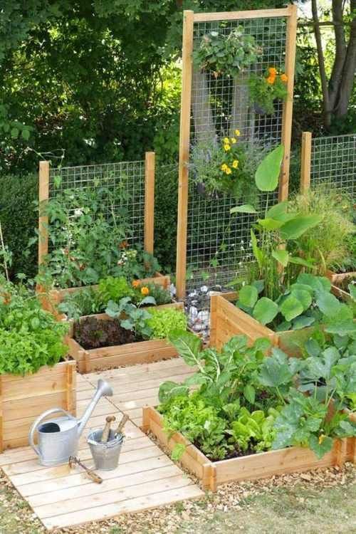 22 Ways for Growing a Successful Vegetable Garden -   21 garden beds
 ideas