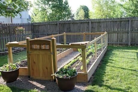 A fenced-in raised bed garden area can help protect your plants from the little woodland creatures who would like to eat your crops. -   21 garden beds
 ideas