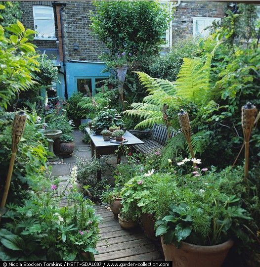 Small Jungle Style Gardens (From Moon to Moon) -   22 modern urban garden
 ideas