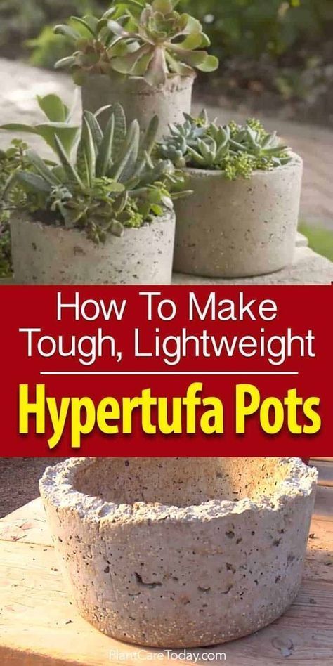 Looking for something NEW in garden design? Try Hypertufa pots! -   23 garden pots crafts
 ideas