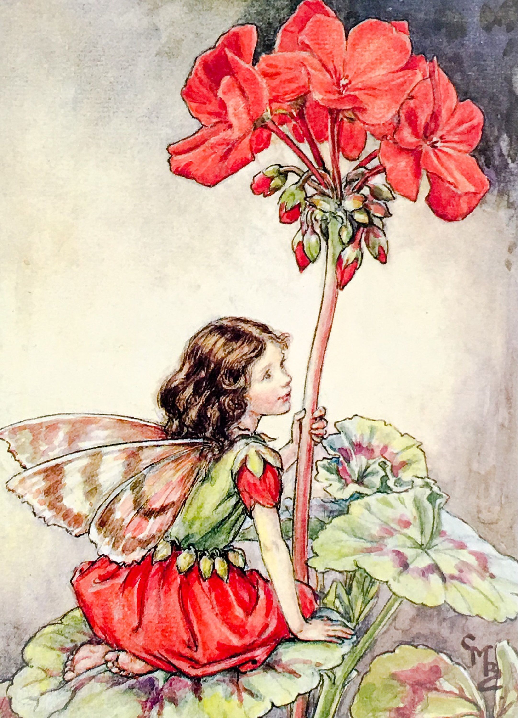 The Flower Fairies / The Geranium Fairy / Book Illustration / 1997 / By Cicely Mary Barker / Original Book Page / nursery Art -   24 fairy garden drawing ideas