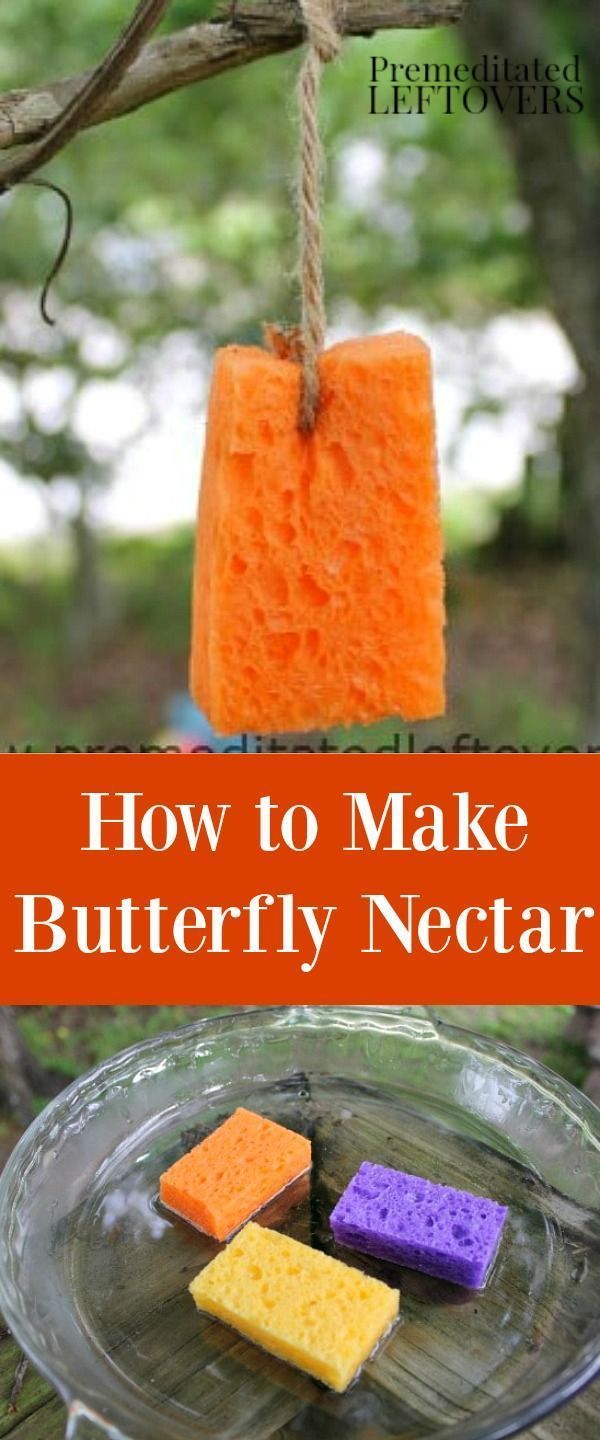 Do you want to attract butterflies to an area of your yard? Here is How to Make Butterfly Nectar - Make this quick and simple butterfly nectar recipe to draw butterflies into your garden. -   24 fairy garden drawing
 ideas