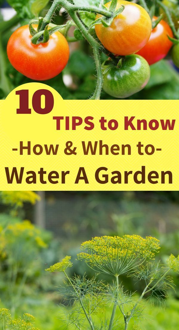 How to Water A Garden for High Yields -   24 garden design water
 ideas