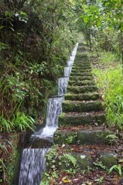 Awesome DIY Garden Steps and Stairs Ideas -   24 garden design water
 ideas