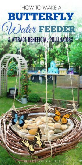 How to Make a Butterfly Water Feeder -   24 garden design water
 ideas