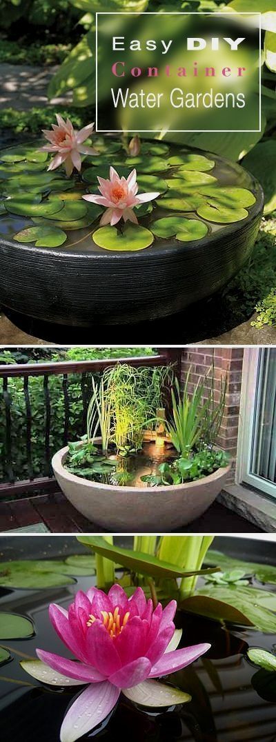 Easy DIY Container Water Gardens -   24 garden design water
 ideas