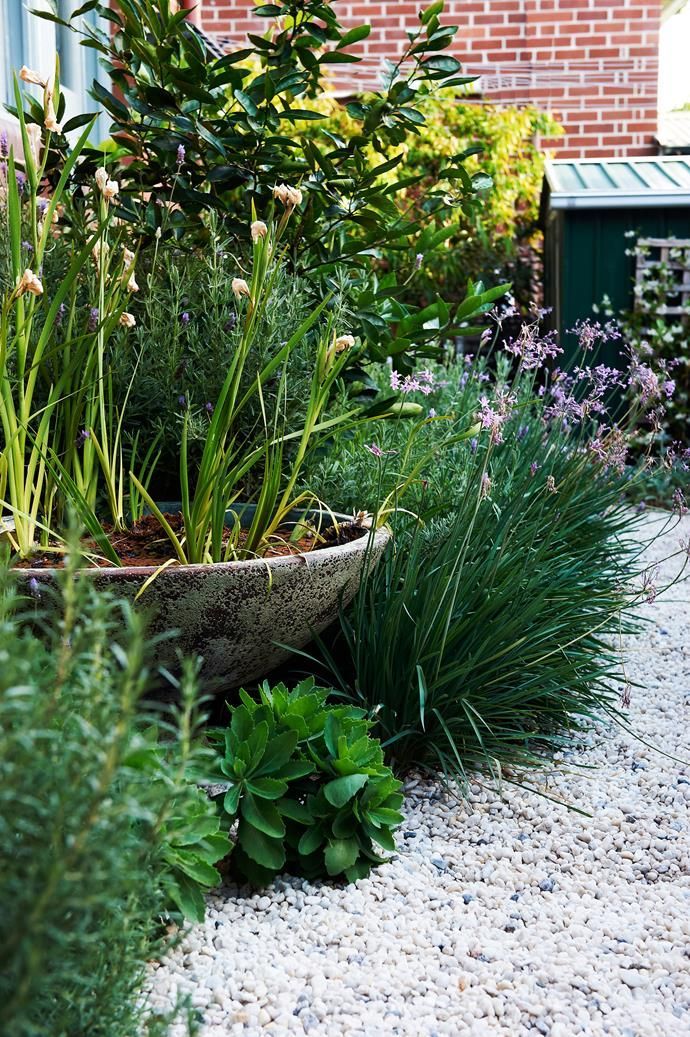 How To Create A Soft Perennial Garden -   24 garden design water
 ideas