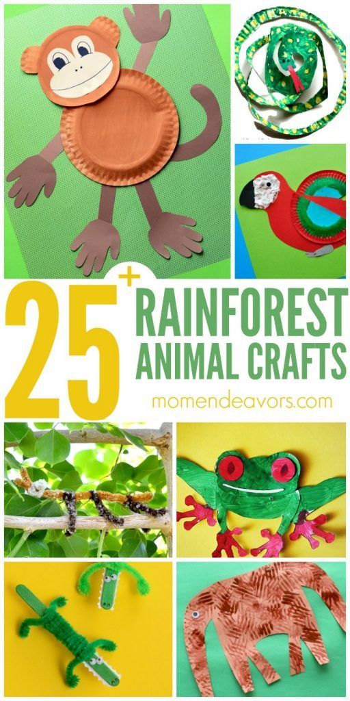 25+ Rainforest Animal Crafts for Kids -   24 small animal crafts
 ideas
