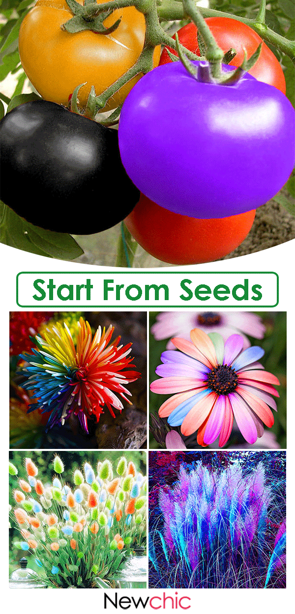 Plant seeds. -   25 diy garden decoration
 ideas