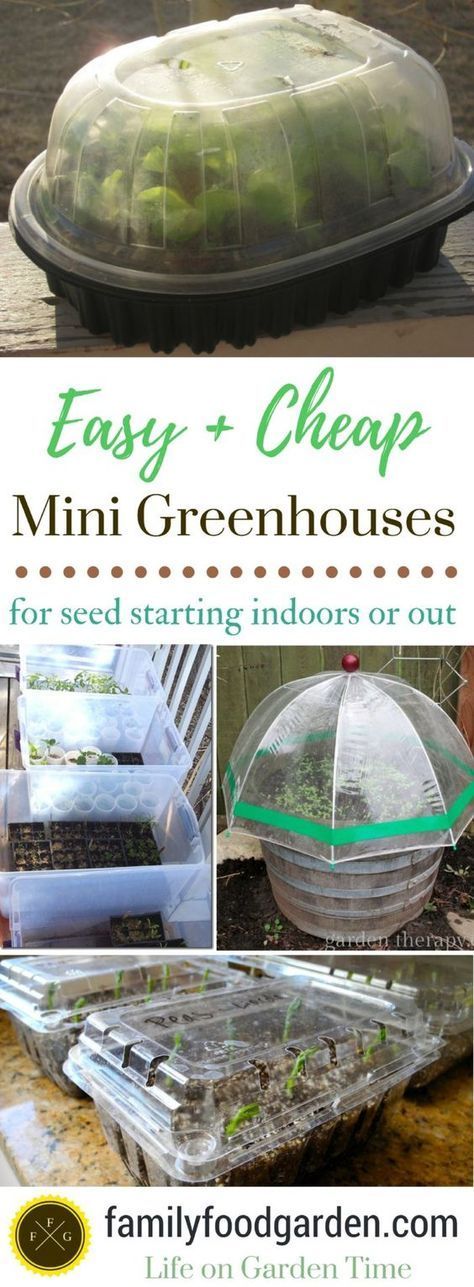 Cheap Mini Greenhouse for Seed Starting -   25 diy garden decoration
 ideas