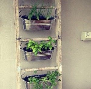 50 Cheap and Easy DIY Herb Garden Ideas -   25 diy garden decoration
 ideas