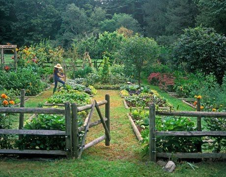 Keep it Simple -   25 french kitchen garden
 ideas