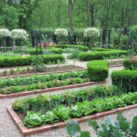 101 Vegetable Gardening Tips & Ideas -   25 french kitchen garden
 ideas