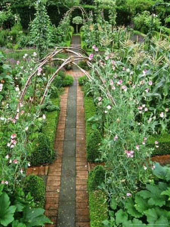 I like the way this looks. It seems relaxing and serene, like a place you'd find a fairy or two playing around. It was originally described as a Formal French Kitchen Garden with Twig Arbors for Peas -   25 french kitchen garden
 ideas