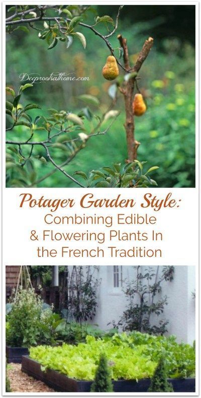 Potager Garden Style: Combining Edible & Flowering Plants In the French Tradition, Combining both edible and flowering plants, a potager garden design is purposeful and utilitarian as seen in delightful kitchen beds of Europe, but laid out with aesthetic beauty in mind (inspired by lovely compositions of French gardens). -   25 french kitchen garden
 ideas