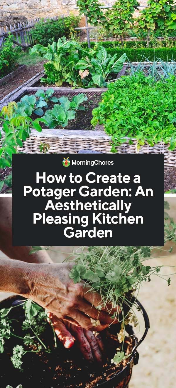 How to Create a Potager Garden: An Aesthetically Pleasing Kitchen Garden -   25 french kitchen garden
 ideas