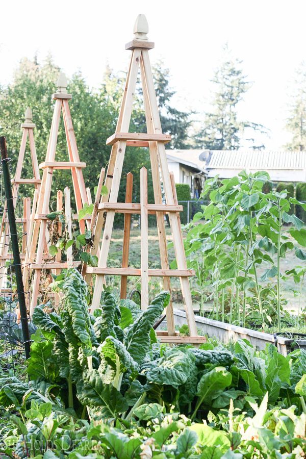 DIY French Tuteurs for the Garden -   25 french kitchen garden
 ideas