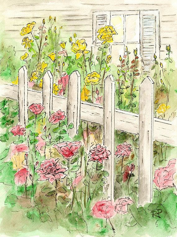 11 rose garden illustration
 ideas