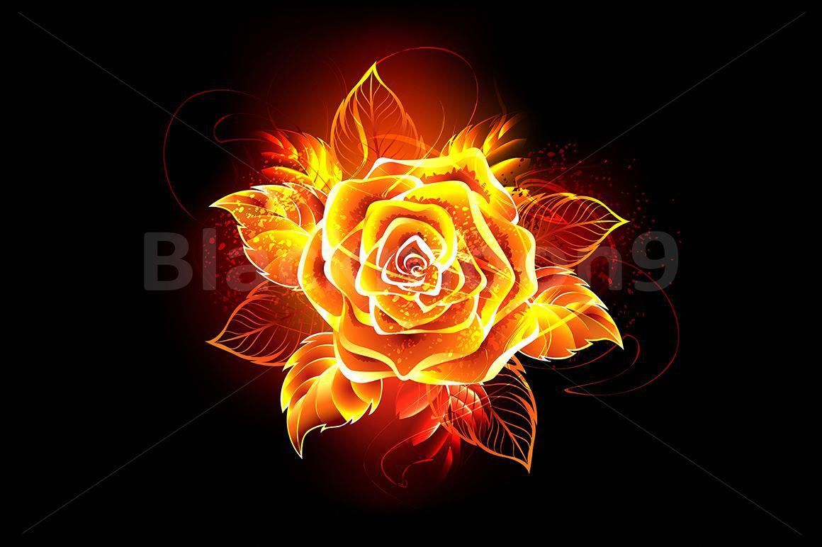 Blooming Fire Rose -   11 rose garden illustration
 ideas