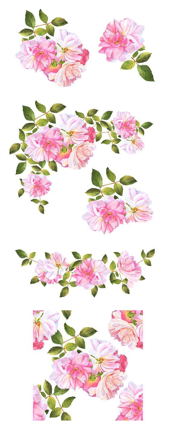 Roses watercolor clipart, Flower clipart, Watercolor roses, Watercolour clipart, Floral roses clipart, Pink roses Clipart, roses clipart -   11 rose garden illustration
 ideas