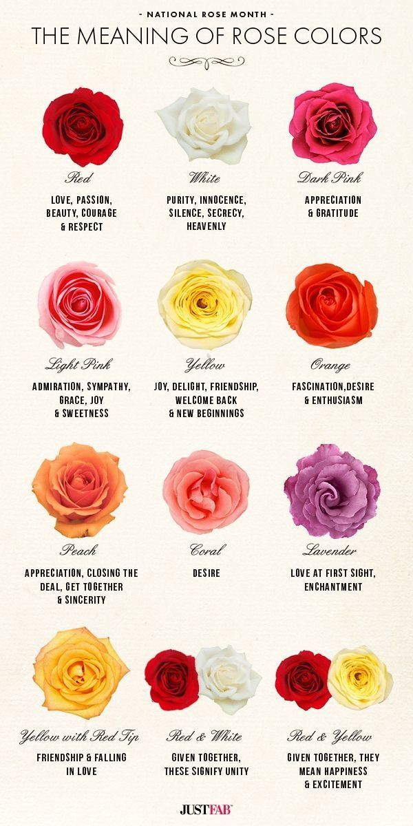 Flowers, Their Meanings, And Which Ones NOT To Give Your Valentine -   14 pink rose tattoo
 ideas
