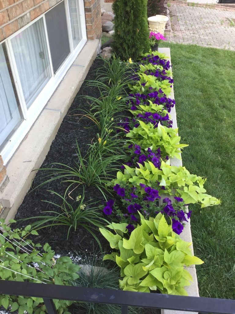 15 Beautiful Flower Beds In Front Of House Ideas -   16 front garden beds
 ideas