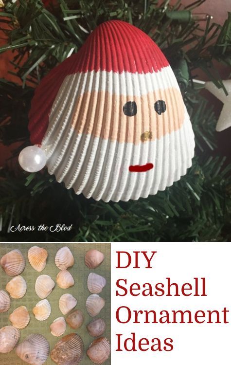 Simple DIY Shell Ornaments -   17 seashell crafts awesome
 ideas