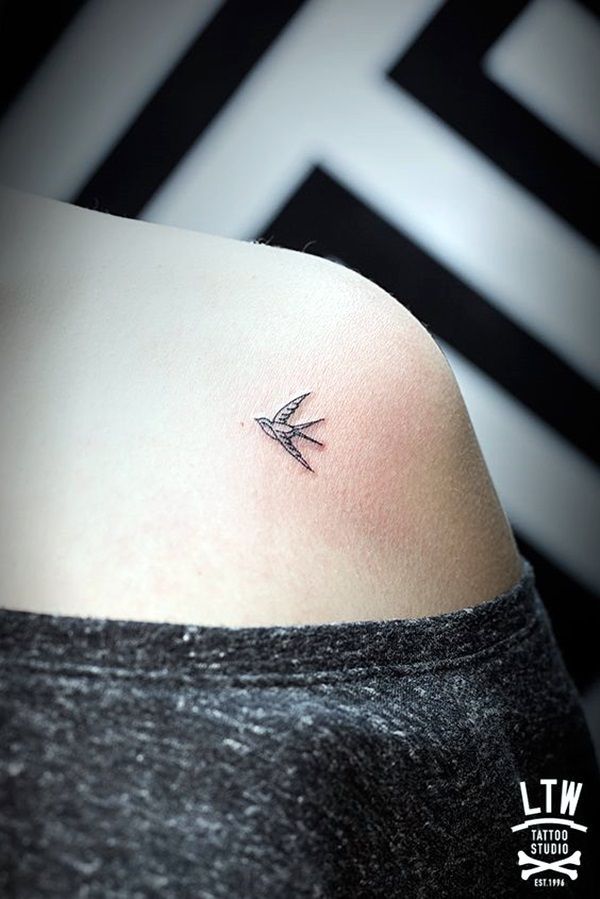 40 Tiny Bird Tattoo Ideas To Admire -   17 tiny tattoo bird
 ideas