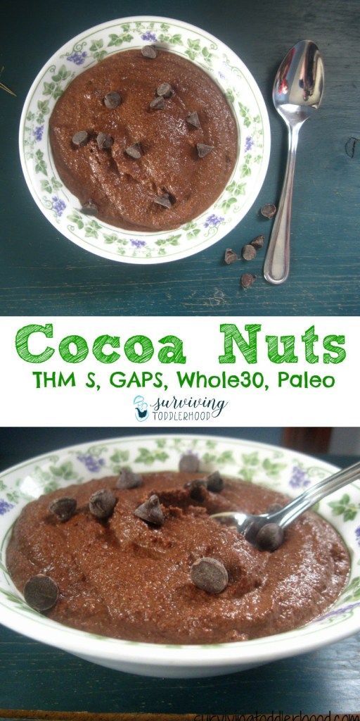 Cocoa Nuts {Grain Free Cocoa Wheats. GAPS, Paleo, THM S -   19 gaps diet beans
 ideas