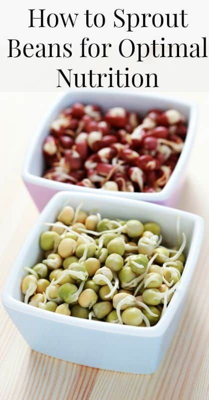 How to Sprout Beans -   19 gaps diet beans
 ideas
