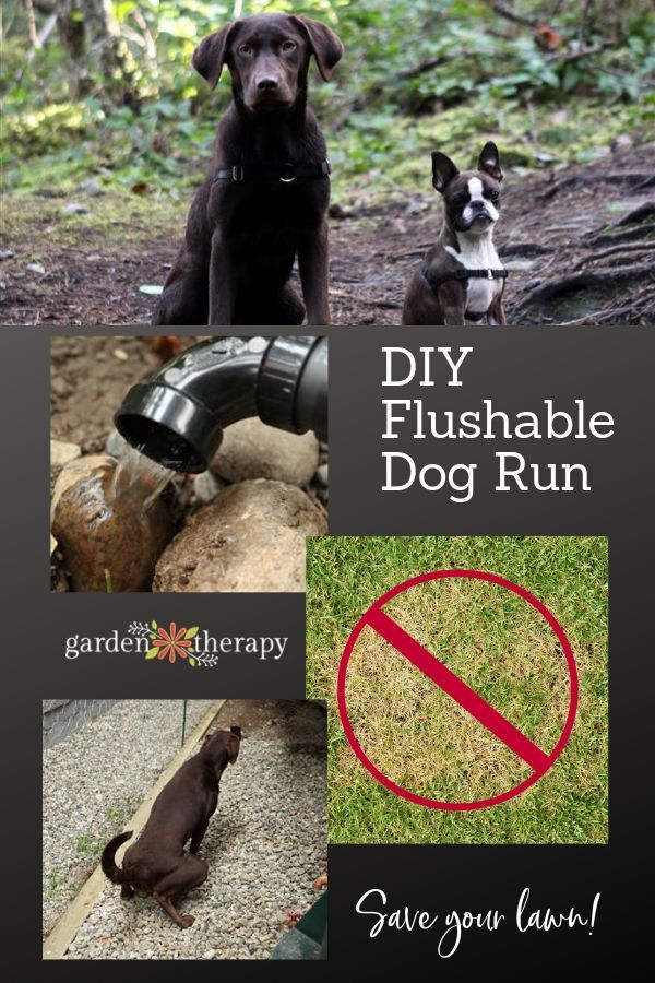 Doggy John: How to Build a Flushable Dog Run -   20 diy dog outdoor
 ideas