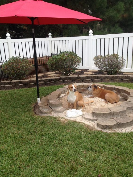 The Dirt On Dogs Who Dig -   20 diy dog outdoor
 ideas