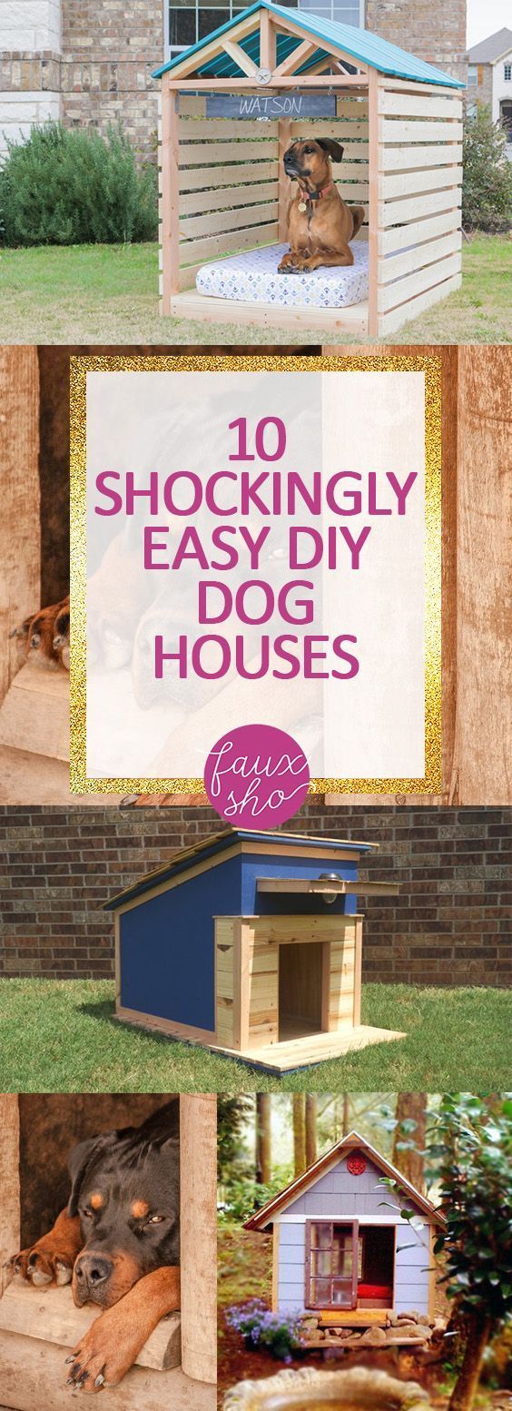 10 Shockingly Easy DIY Dog Houses -   20 diy dog outdoor
 ideas