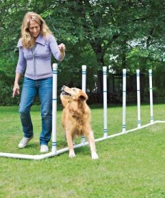 How to Build a DIY Dog Agility Course -   20 diy dog outdoor
 ideas