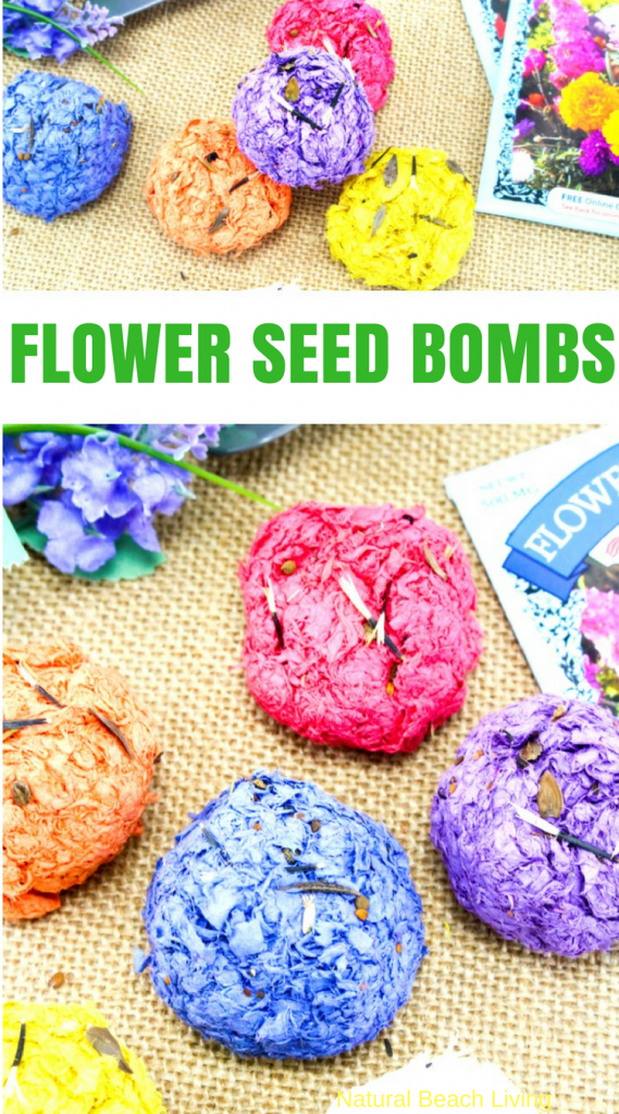 How to Make Seed Bombs - Easy Kid Made Seed Bombs Recipe -   22 nature crafts
 ideas