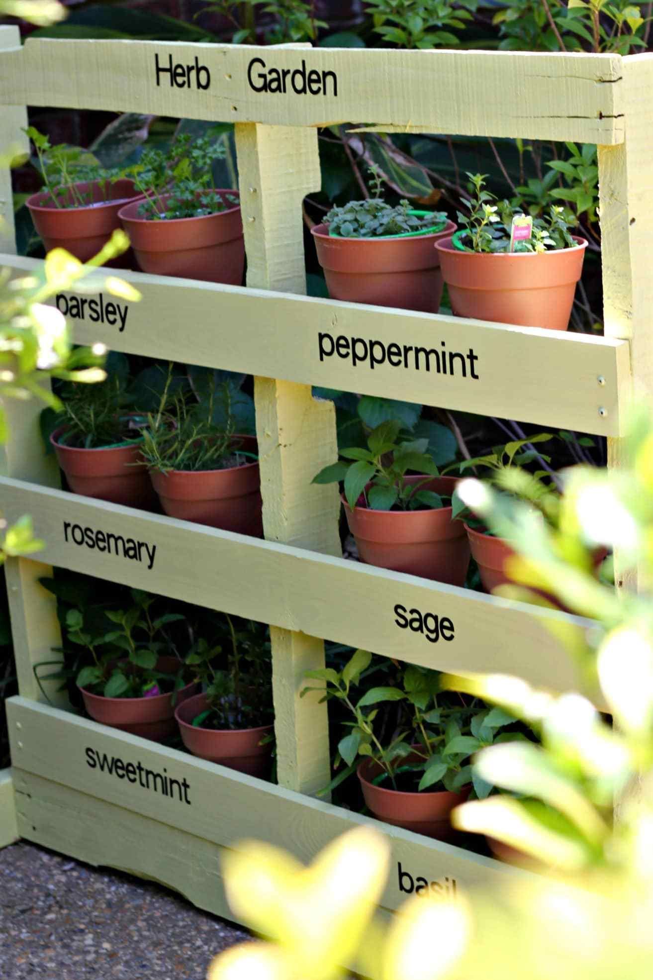 23 herb garden
 ideas