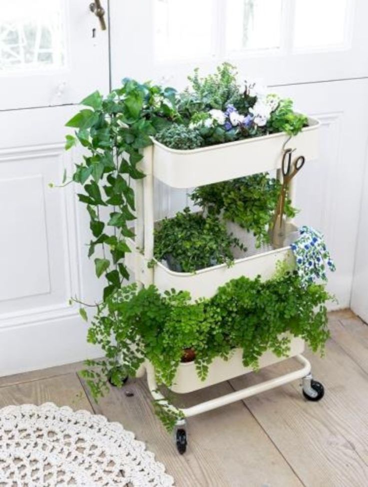 31 Great Indoor Herb Garden Ideas for Healthy Life -   23 herb garden
 ideas