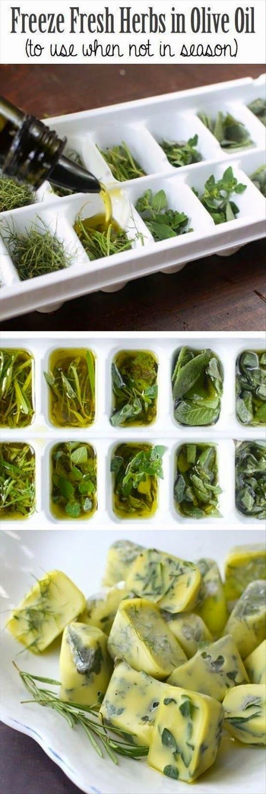 Freeze & Preserve Fresh Herbs in Olive Oil -   23 herb garden
 ideas
