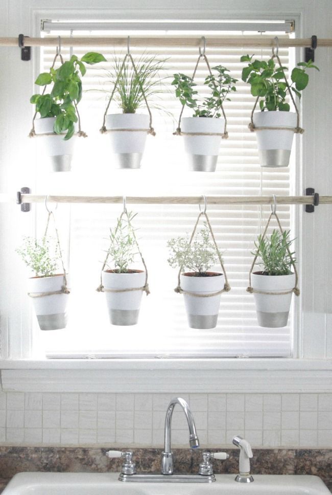 The 11 Best Herb Garden Ideas -   23 herb garden
 ideas