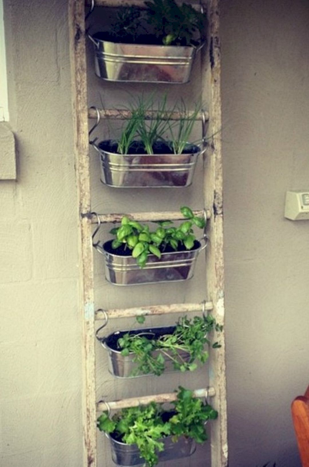 15 Best Indoor Herb Garden Ideas for Your Small Home and Apartment -   23 herb garden
 ideas