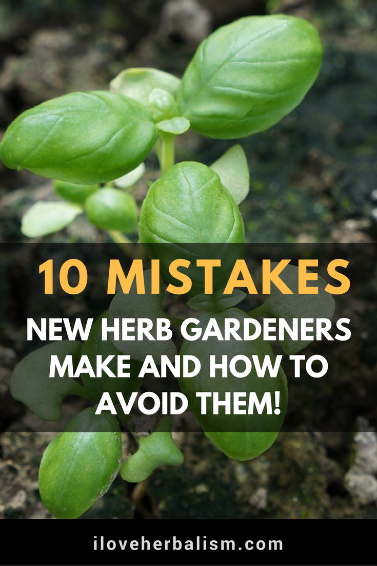 10 Mistakes New Herb Gardeners Make And How to Avoid Them -   23 herb garden
 ideas