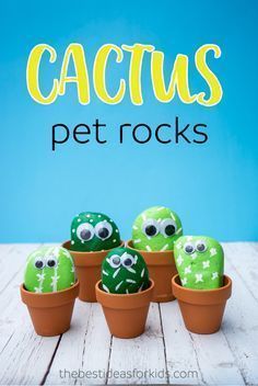 Pet Cactus Rocks -   24 fun cute crafts
 ideas