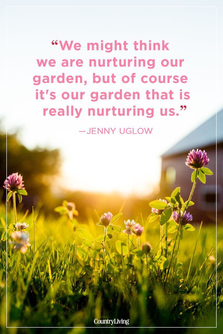 24 Absolutely Beautiful Quotes About Summer -   9 garden quotes beautiful
 ideas