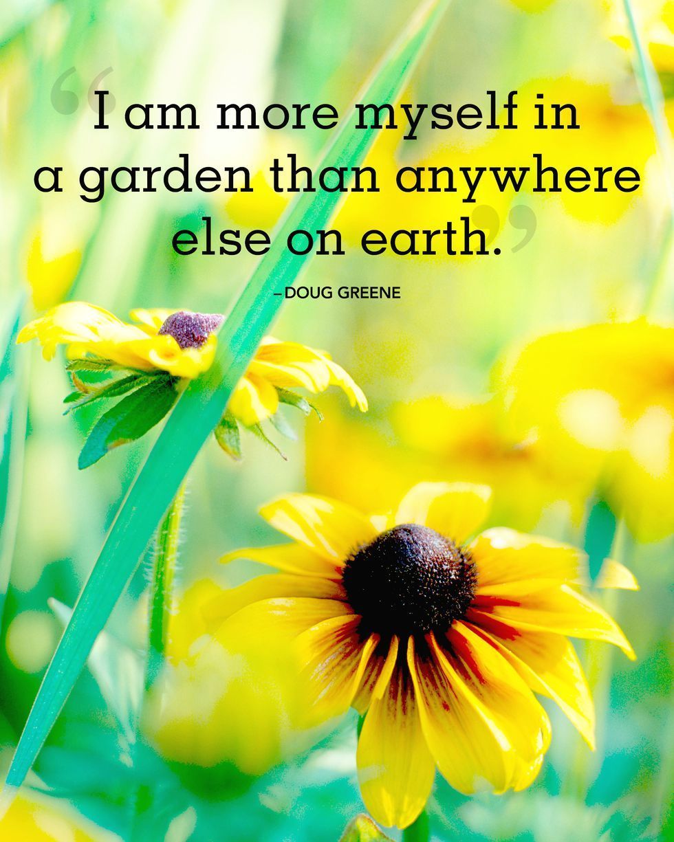 24 Absolutely Beautiful Quotes About Summer -   9 garden quotes beautiful
 ideas